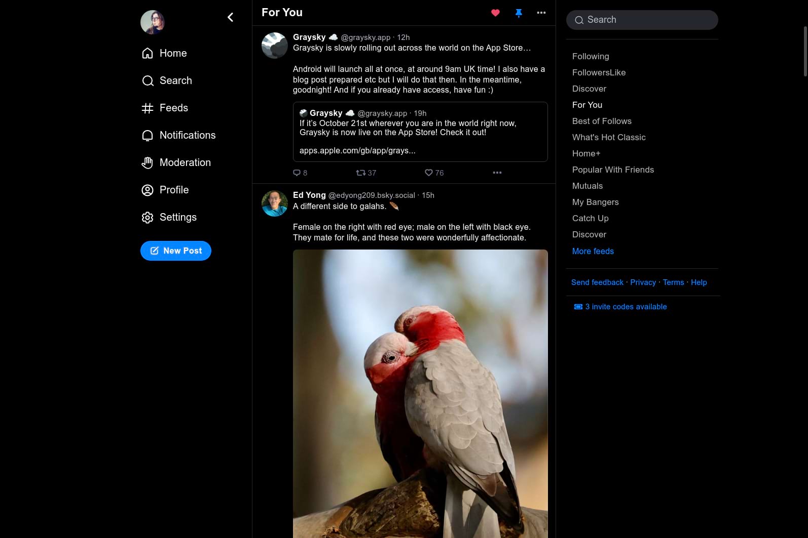 Kuvankaappaus Bluesky-palvelun For You-seinältä, jossa näkyy Graysky bsky appin päivitys, että sovellus tulee App Storeen ja Ed Yongin postaama lintukuva.