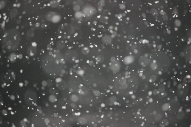 bokeh photography of snows