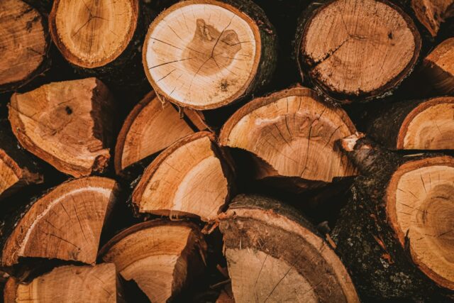 brown and black wood logs
