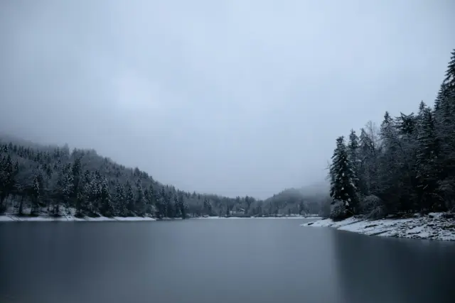 body of water near trees covered with snow during daytime