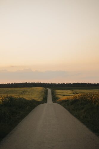 a dirt road in the middle of a field