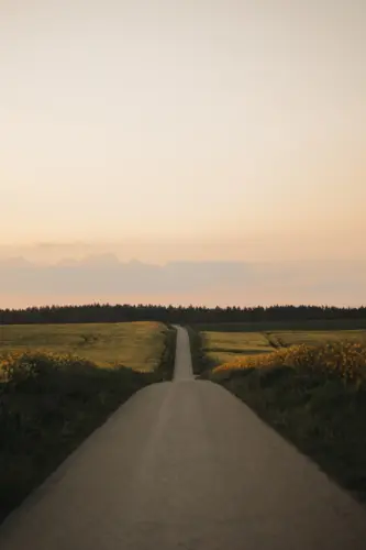 a dirt road in the middle of a field