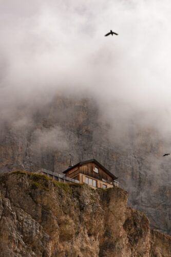 a bird flying over a house on a cliff