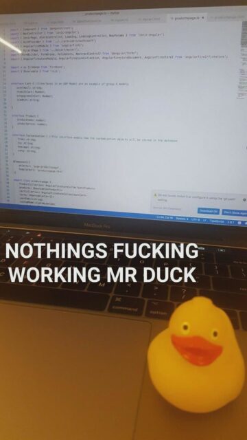 Nothings fucking working Mr. Duck