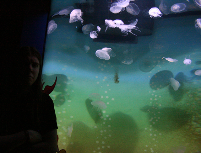 Rolle seisoo meduusa-altaan vieressä Sea Lifessä kasvoillaan yrmeä ilme joka ei johdu siitä etteikö olisi kivaa vain siitä että hän ilveilee